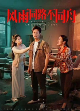 风雨同路不同舟(全集)